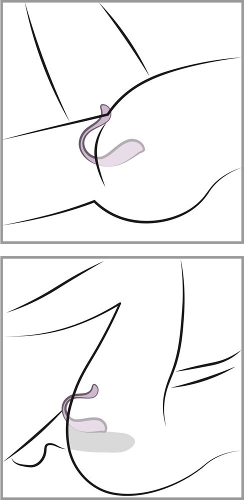 Oeuf Vibrant Connecté Phoenix Neo 2 - Miniature 5